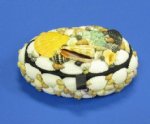 6 inch Oval Shell Jewelry Box Wholesale, Shell Box covered with natural shells - Pack of 3 @ $4.05 each; Pack of 18 @ $3.55 each