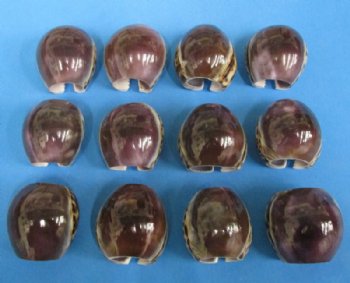 Purple Top Cowrie Napkin Rings Wholesale - <font color=red>*CLOSEOUT SALE*</font> 12 pcs @ $.40 each; 96 pcs @ $.35 each  