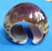 Purple Top Cowrie Napkin Rings Wholesale - <font color=red>*CLOSEOUT SALE*</font> 12 pcs @ $.40 each; 96 pcs @ $.35 each  