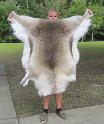 Tanned Reindeer Hides, Reindeer Skins Standard Grade - (1 pc)