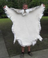 Tanned Reindeer Hides, Reindeer Skins Standard Grade - (1 pc)