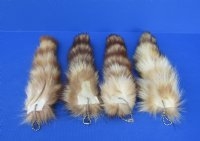Wholesale Crystal Dyed Tanned Raccoon Tails, 7 to 11 inches long - 2 pcs @ $6.00 each; 8 pcs @ $5.25 each