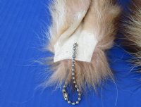 Wholesale Crystal Dyed Tanned Raccoon Tails, 7 to 11 inches long - 2 pcs @ $6.00 each; 8 pcs @ $5.25 each