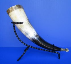 Wholesale Decorative Drinking Horns with Rod Iron Stand 12 to 15 inches - 2 pcs @ $9.25; 8 pcs @ $8.30 each