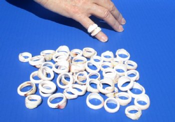 Caved Shell Strombus Rings Assorted Designs - 100 pcs @ $.65 each; 400 pcs @ $.58 each