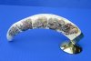 Wholesale Polished Scrimshawed "African Big Five Design" Warthog Tusks (Phacochoerus aethiopicus) attached to a free standing brass stand 9 to 11 inches - $84.00 (You will receive one similar to the photos).