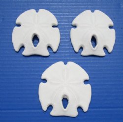 3 to 3-3/4 inches Wholesale Mexican Keyhole Sand Dollars - 10 pcs @ $1.20 each; 50 pcs @ $1.05 each