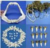 Shark Products - Teeth - Jaws - Jewelry