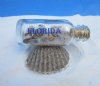 Wholesale Sand Scallop with bottle Novelty Souvenired "Florida" - Packed: 6 pcs @ $2.25 each; Packed: 24 pcs @ $2.00 each