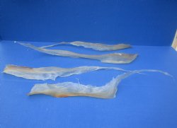 Natural Deer Sinew, 15 to 24 inch - (2 pc, 8 pc)