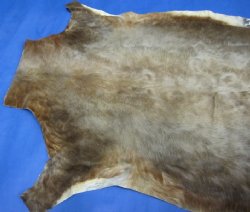 Grade B African Blesbok Skins -  (1 pc, 5 pc)