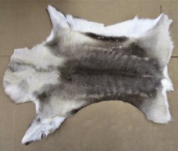 Case of 7 Wholesale Craft Grade Tanned Reindeer hides, reindeer skins imported from Finland $60.00 each - (signature required)