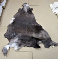 Wholesale Craft Grade Tanned Reindeer hides, reindeer skins imported from Finland  - $68.00 each