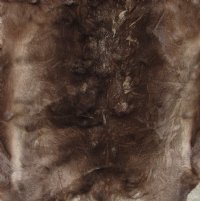 Reindeer Skin, Reindeer Hide Without Legs (1 pc)
