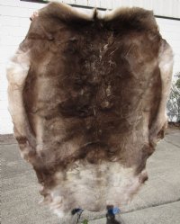 Wholesale Reindeer Skin, Reindeer Hide, Reindeer Fur, Without Legs, Good Quality for $95.00 Each 
