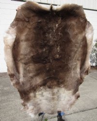 Reindeer Skin, Reindeer Hide Without Legs (1 pc)