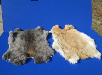Wholesale Natural Fur Rabbit Skins size range is 15x10 to 17x12. - 2 pcs @ $9.50 each; 8 pcs @ $8.75 each