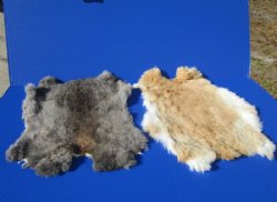 Wholesale Natural Fur Rabbit Skins size range is 15x10 to 17x12. - 2 pcs @ $9.50 each; 8 pcs @ $8.75 each