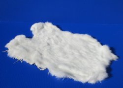 Wholesale White Fur Rabbit Skins for sale - size range is 15x10 to 17x12. - 2 pcs @ $8.50 each; 8 pcs @ $7.75 each
