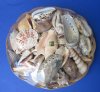 8 inches Round Shell Baskets Wholesale filled with natural mixed shells - 3 Pieces @ $1.50 each