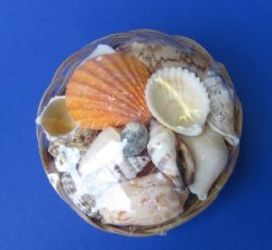 4 inches Round Baskets of Sea Shells Wholesale filled with Mixed Natural Shells - 48 @ $.75 each