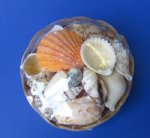 4 inch Round Basket of Shells Wholesale for Seashell gifts Packed: 12 pcs @ $.60 each