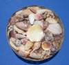 10 inch Wholesale baskets of sea shells  for seashell wedding decor - Packed: 3 pcs @ $2.40 each