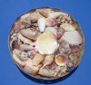 12 inches Round Wholesale Sea Shell Gift Baskets for Beach Wedding Centerpieces - Case of 6 pcs @ $2.75 each (Min: 3 case)
