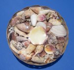 12 inches Round Wholesale Sea Shell Gift Baskets for Beach Wedding Centerpieces - Packed: 3 pcs @ $3.25 each  