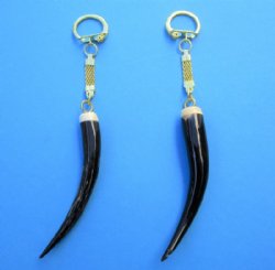 Wholesale Polished Female Springbok horn key rings, or key chains - 3 to 4 inches long with 2-3/4 inch long - 2 pcs @ $10.00 each; 8 @ $9.00 each