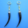 Wholesale Polished Female Springbok horn key rings, or key chains - 3 to 4 inches long with 2-3/4 inch long gold colored key chain - Min: 2 pcs @ $10.00 each; 8 or more @ $9.00 each