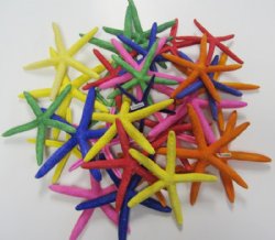 Wholesale dyed pencil finger starfish assorted colors 4 to 6 inches - 25 pcs @ .60 each