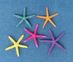 Wholesale Dyed Finger Starfish Assorted Colors 4" - 6" - 410 pcs @ $.53 each