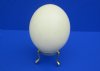 Wholesale 3 Leg Brass Ostrich Egg Stand 3 inch by 2-1/2 inch - Packed: 3 pcs @ $3.75 each; Packed: 12 pcs @ $3.25 each (The ostrich egg is not included with the stand)