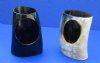 Wholesale Polished Buffalo Horn stand (Bubalus, bubalis) 4-3/4 inch to 5-3/4 inch tall - Packed: 4 pcs @ $3.75 each; Packed: 20 pcs @ $3.35 each (Work best holding horns approx 9 to 14 inch)