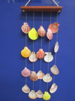 18 inches wholesale seashell wall hanging with pecten noblis shells - 60 pcs @ $2.25 each
