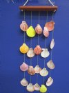 18 inches wholesale seashell wall hanging, beach decor with pecten noblis shells - Packed: 6 pcs @ $2.50 each