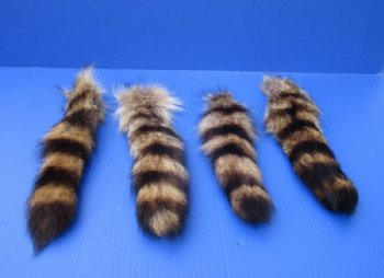 Wholesale Tanned Raccoon Tails 10 to 12 inches - 3 pcs @ $5.50 each; 15 pcs @ $4.95 each