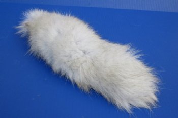 Wholesale Tanned Blue Fox tails 13 to 14 inches long -  2 pcs @ $10.00 each; 8 pcs @ $9.00 each