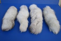 Wholesale Tanned Blue Fox tails 13 to 14 inches long -  2 pcs @ $10.00 each; 8 pcs @ $9.00 each