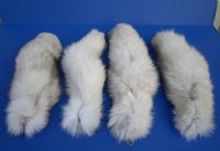 Blue Fox tail 13 to 14 inch (2 pc, 8 pc)