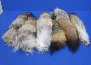 Coyote Tails 10 to 16 inch (2 pc, 8 pc)