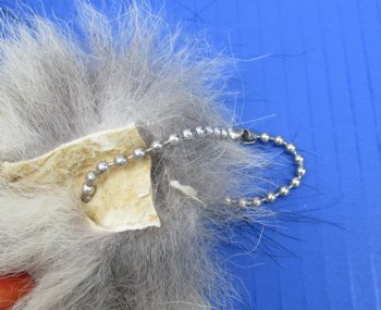 Wholesale Coyote Tails, 10 to 16 inches long - 2 pcs @ $8.50 each; 8 pc @ $7.75 each