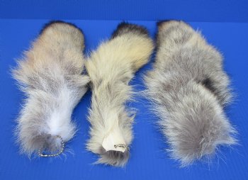 Coyote Tails 10 to 16 inch (2 pc, 8 pc)