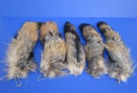 Grey Fox tails 13 to 16 inch (2 pc, 8 pc)