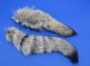 Wholesale Tanned Kit Fox tails with an attached ball chain for sale measuring 10 to 13 inches long.  You will receive one similar to the picture - Packed: 2 pcs @ $8.50 each; Packed: 8 pcs @ $7.75 each