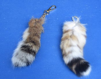 Lynx tails 6 to 8 inch (2 pc, 8 pc)