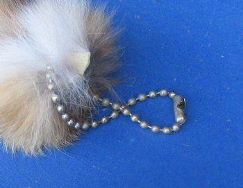 Lynx tails 6 to 8 inch (2 pc, 8 pc)