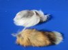 Wholesale mixed fox tails for sale measuring 10 to 13 inches long.  You will receive one similar to the picture - Packed: 2 pcs @ $8.50 each; Packed: 8 pcs @ $7.75 each