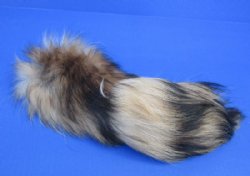 Wholesale Tanned Tanuki tails 11 to 13 inches long. - 2 pcs @ $7.50 each; 8 pcs @ $6.50 each